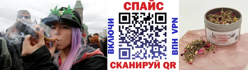 закладки  Вытегра  Бутират BDO 