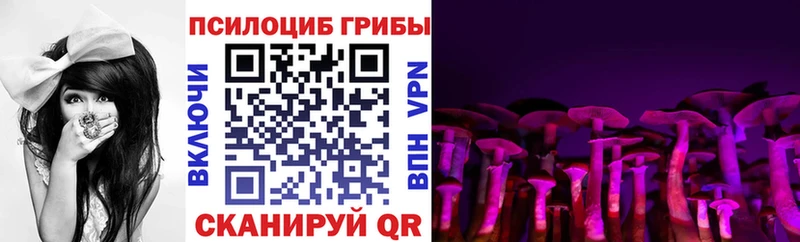 Псилоцибиновые грибы прущие грибы ссылка на мегу ONION Вытегра наркошоп